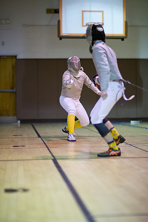 fencing_2019-01-10_mkras_0061