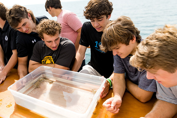 marinebio_soundwaters22_us_ah_0041b