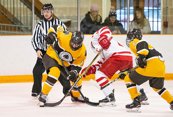 hockey_2019-01-12_dburns_4886