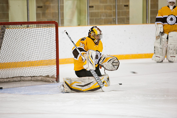 hockey_2014-01-09_westminster_mkras_0013