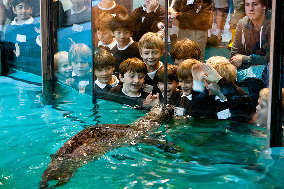 aquarium_ls_mkras_2414