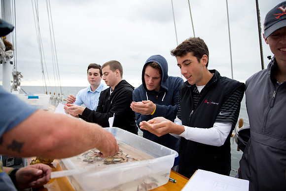 marinebio_soundwater_us_mkras_0193