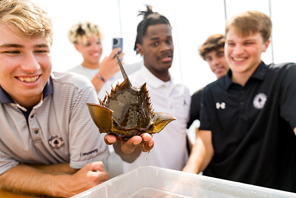 marinebio_soundwaters22_us_ah_0055