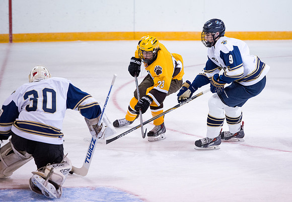 hockey_2015-12-04_db_9185