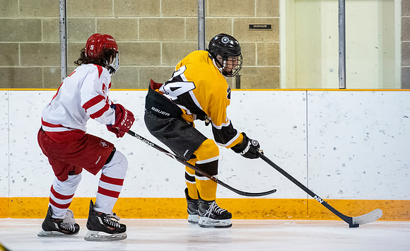 hockey_2019-01-12_dburns_4436