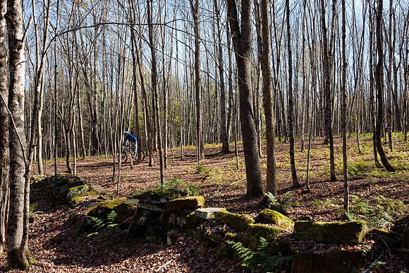 randolphvt1819_trip03_mtbike_bdf_1859