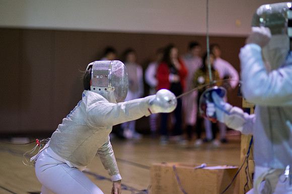 fencing_2019-01-10_mkras_0069
