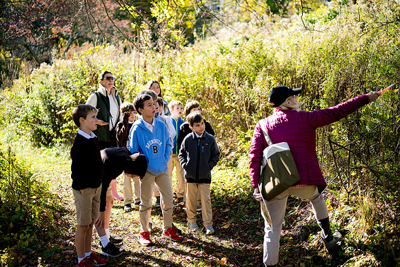 audubon_gr3_ah_0045