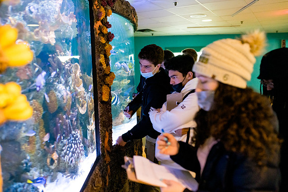 aquarium_us_ah_0005