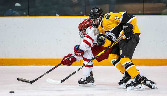 hockey_2019-01-12_dburns_4375