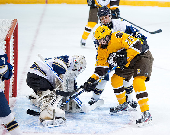 hockey_2015-12-04_db_9360