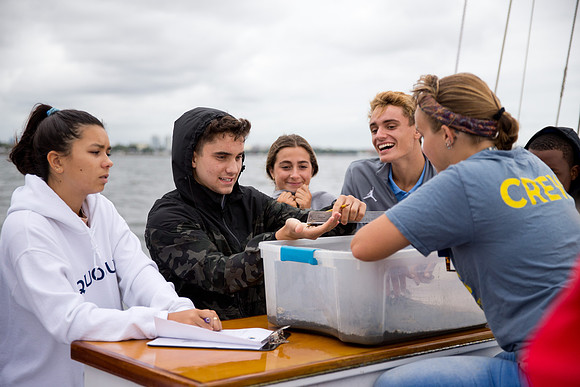 marinebio_soundwater_us_mkras_0112