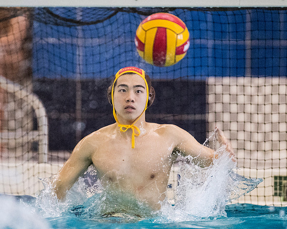 waterpolo_liquid4_2016-11-12_dburns_9325