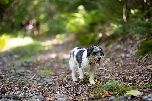 randolphvt2122_trip01_hike_bdf_4924