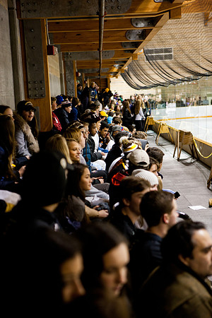 hockey_2014-01-09_westminster_mkras_0218