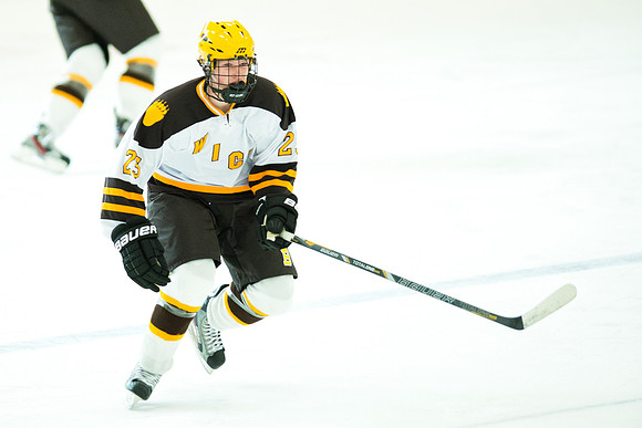 hockey_berkshire_9500
