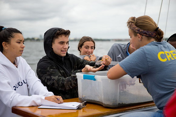 marinebio_soundwater_us_mkras_0111