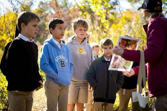 audubon_gr3_ah_0051