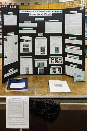 sciencefair14qu_hl_8706