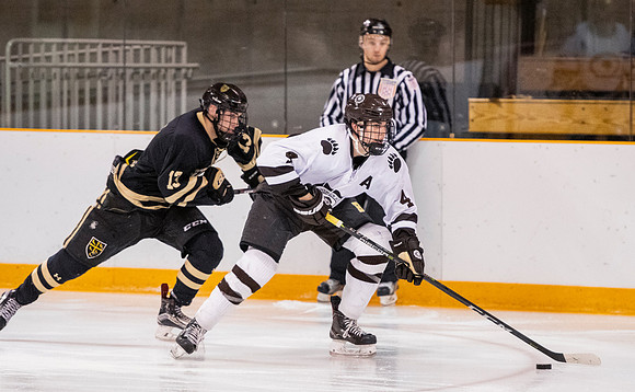 hockey_2018-12-08_dburns_2792