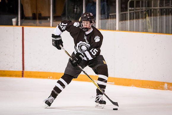 hockey_2018-01-27_wkl_8171