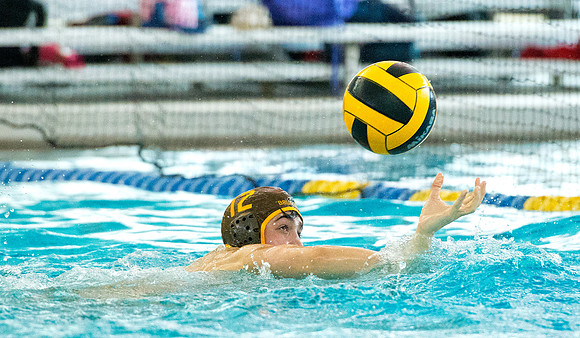 waterpolo_dburns_8742