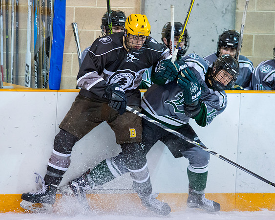 hockey_2016-01-09_dburns_2097