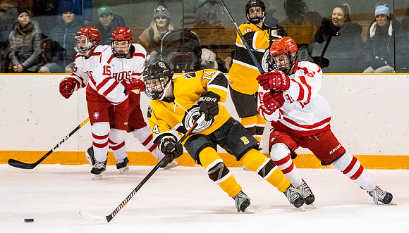hockey_2019-01-12_dburns_4559