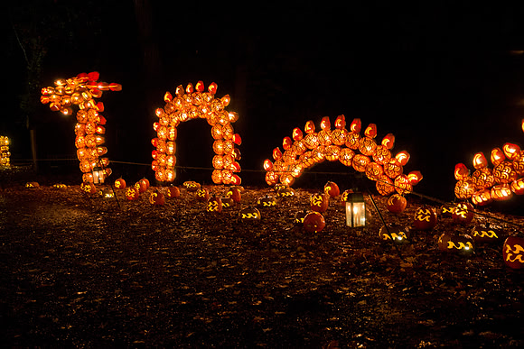 pumpkinblaze18_mkras_0004