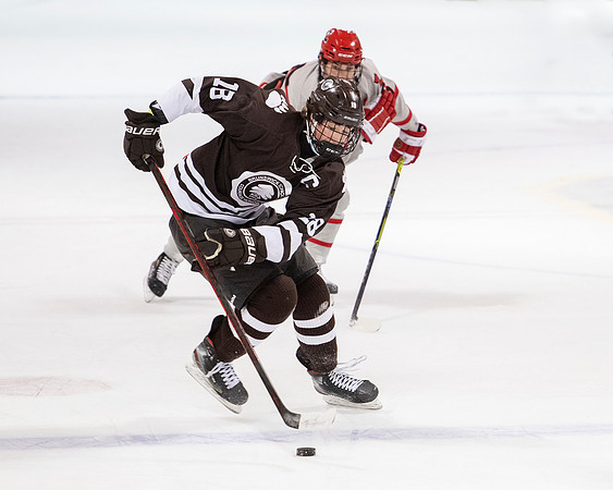 hockey_2022-02-02_dburns1_4547