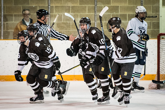 hockey_2018-01-27_wkl_7944