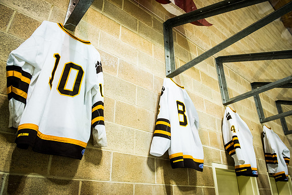 hockey_2016-02-17_wkl_8362