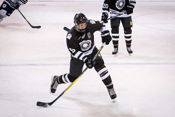 hockey_2018-01-27_wkl_8316