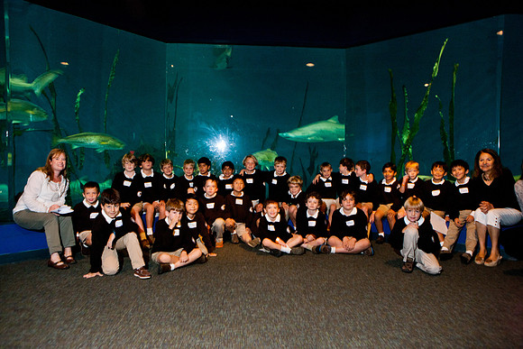 aquarium_ls_mkras_2306
