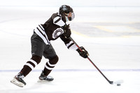 hockey_2022-02-02_dburns1_4375