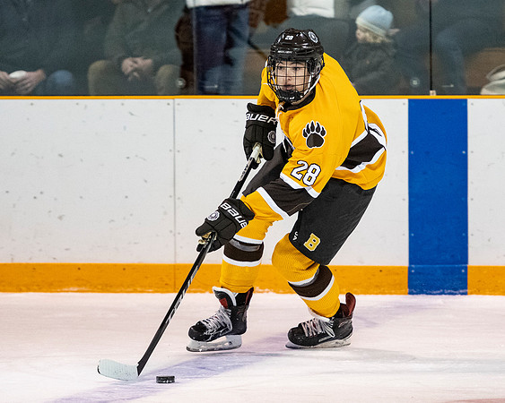hockey_2019-01-12_dburns_4579