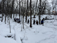 randolphvt2425_trip05-6524_lp_4978