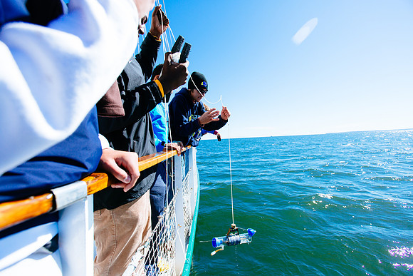 marinebio_soundwaters_jk_7615
