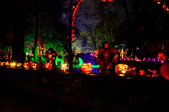 pumpkinblaze18_mkras_0076