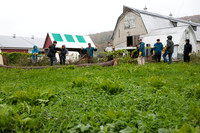 randolphvt1819_trip02_goatfarm_bdf_6270