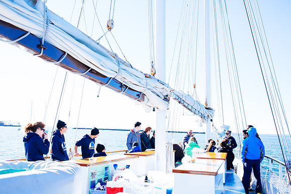 marinebio_soundwaters_jk_7083