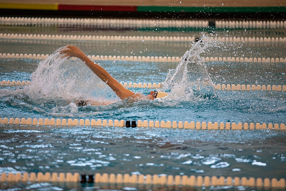 swimming_ms_2022-02-03_gh_0015