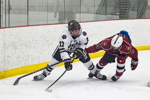 hockey_2025-02-19_rras_0106