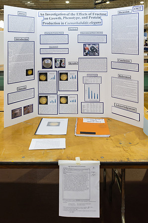 sciencefair14qu_hl_8712