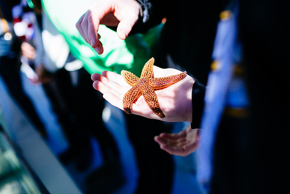 marinebio_soundwaters_jk_7578