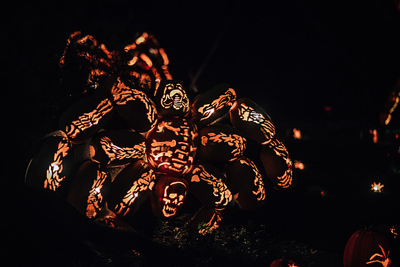 pumpkinblaze17_hp_3592