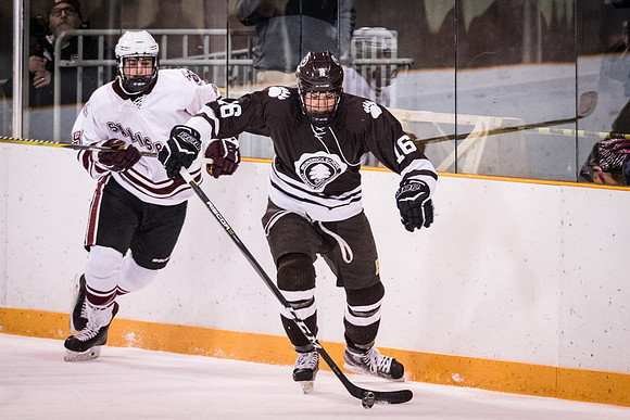 hockey_2018-01-29_wkl_9534