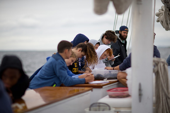 marinebio_soundwater_us_mkras_0156