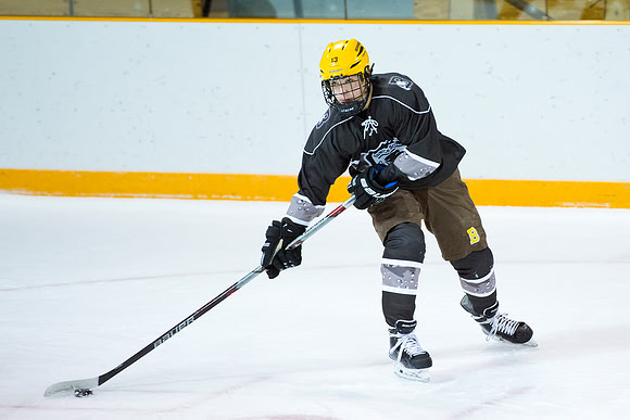 hockey_2016-01-09_dburns_3755