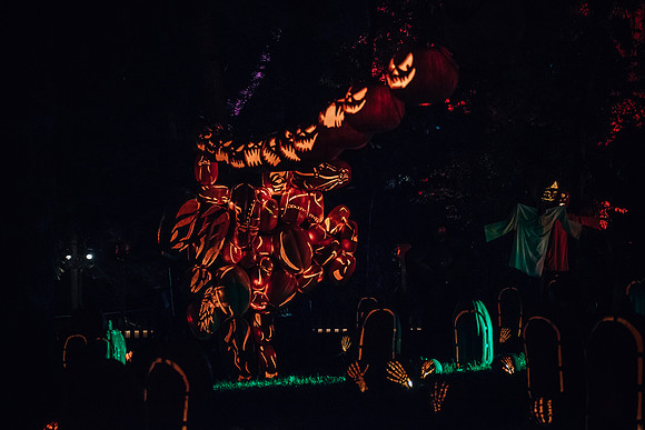 pumpkinblaze17_hp_3485